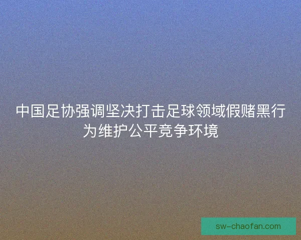 中国足协强调坚决打击足球领域假赌黑行为维护公平竞争环境